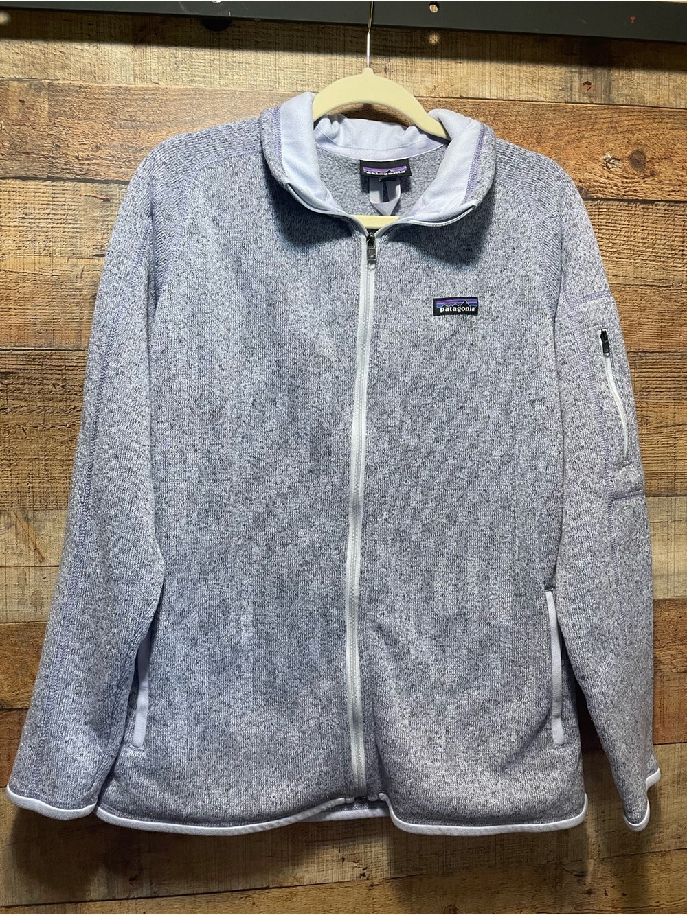 Patagonia Heather Light Gray Full-Zip Teddy Fleece Jacket
